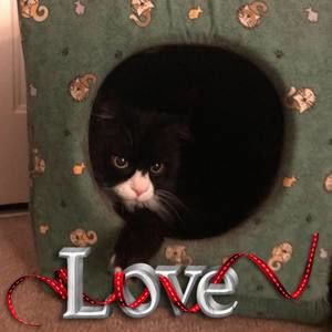 Meet your Posher, Lori